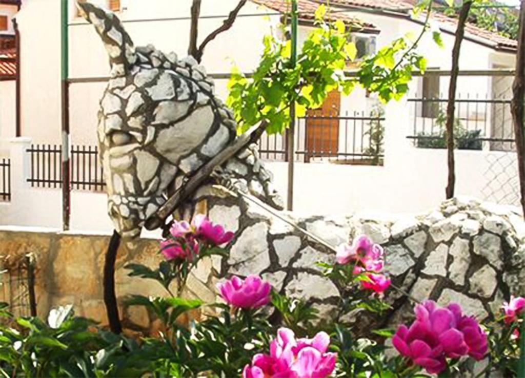 Apartments Silva بولا المظهر الخارجي الصورة